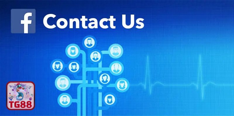 Liên Hệ TG88 - Hotline: Ưu tiên cho tình huống cần phản hồi nhanh